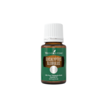 Eucalyptus globulus (guľatoplodý) 15 ml